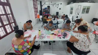 Manos teapanecas tejen futuro con fibra de plátano