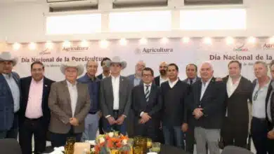 Porcicultura se considera pilar de la seguridad alimentaria en México