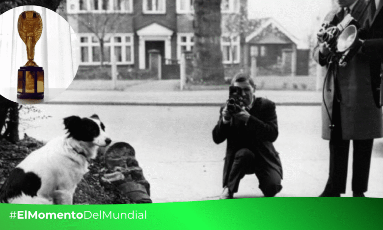El sabueso que salvó el Mundial: El misterio del trofeo robado y el héroe "Pickles" (Fotos FIFA y redes sociales)