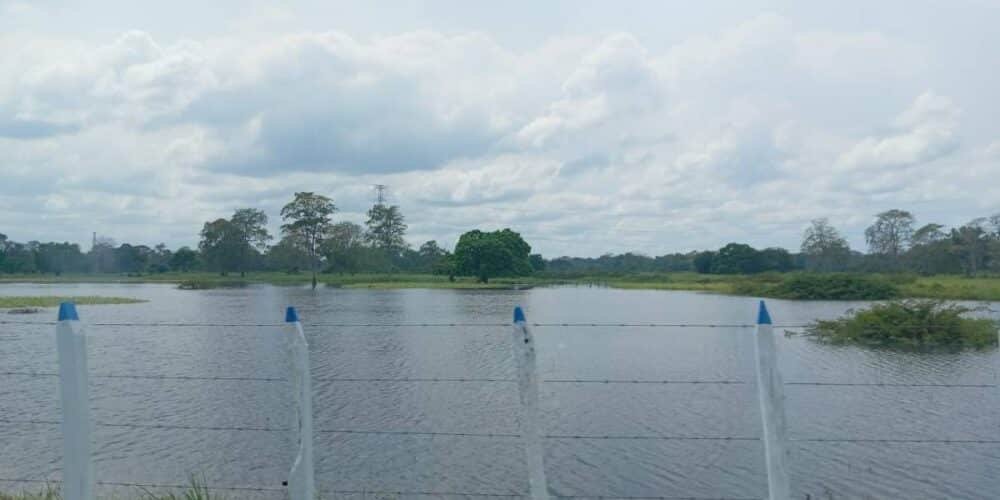 Pronostican calor extremo y lluvias nocturnas para Tabasco