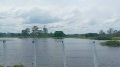 Pronostican calor extremo y lluvias nocturnas para Tabasco