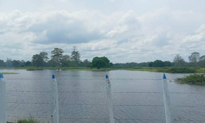 Pronostican calor extremo y lluvias nocturnas para Tabasco