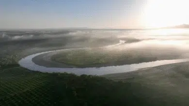 Pronostican chubascos y fuertes vientos en zonas sierra y ríos.