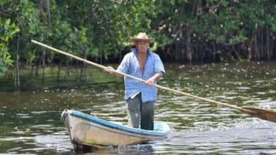 Pronostican lluvias aisladas para este lunes