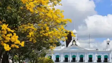 Pronostican lluvias nocturnas para Tabasco