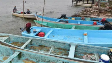 Pronostican temperaturas elevadas con posibilidad de presencia de lluvias mínimas