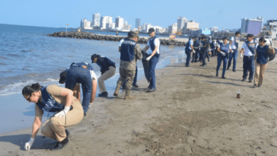 Grupo Interinstitucional garantiza el control de la contaminación por hidrocarburos en el Golfo de México; reporta playas limpias en el litoral