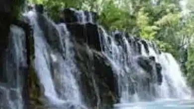 Tabasco estará en la App oficial del Mundial 2026