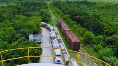 Tren de carga, con paso firme en la Chontalpa