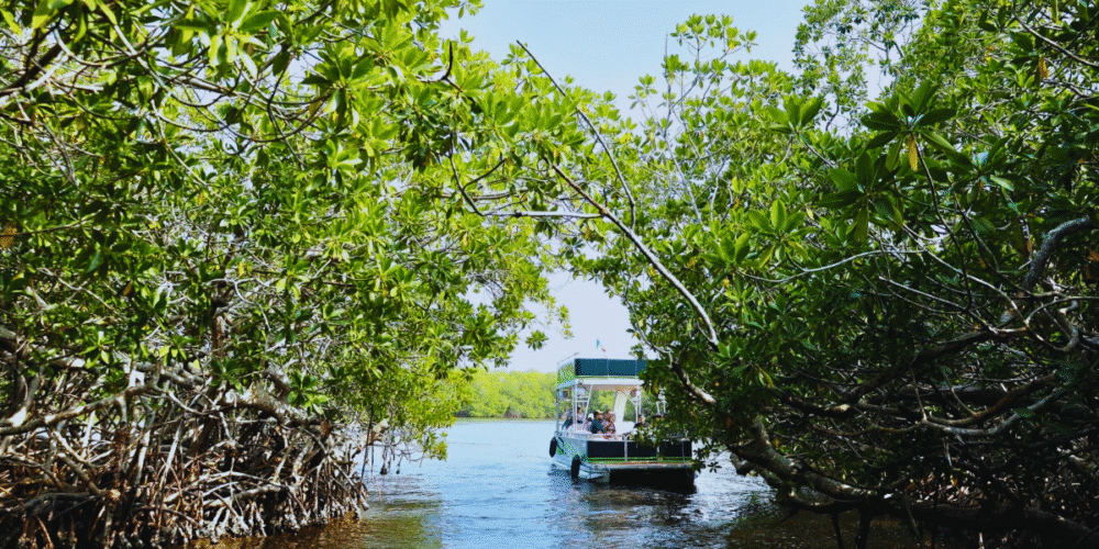 Turismo comunitario, un objetivo inmediato