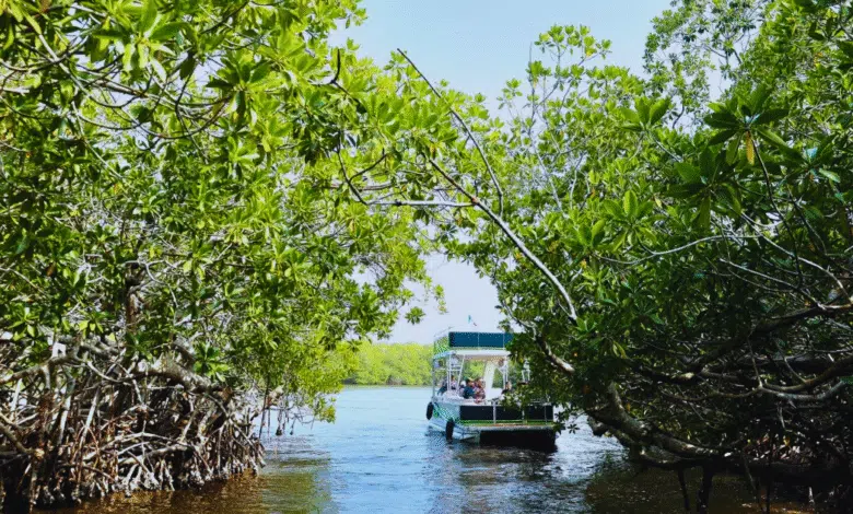 Turismo comunitario, un objetivo inmediato