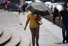 Clima hoy: comienzan las altas temperaturas en estos estados (Foto de internet)