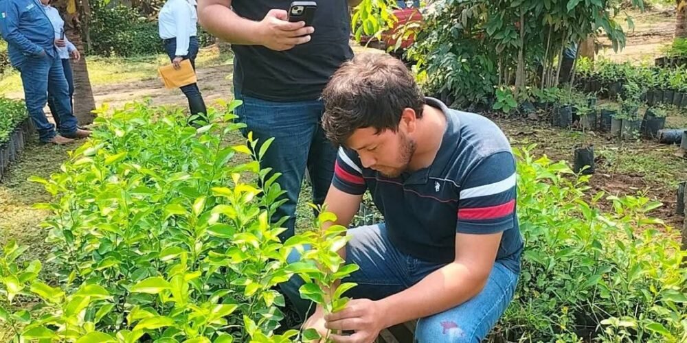 Apuestan por el campo para garantizar alimento en Tabasco