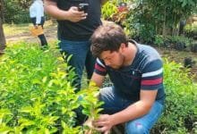 Apuestan por el campo para garantizar alimento en Tabasco