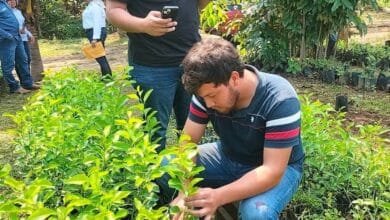 Apuestan por el campo para garantizar alimento en Tabasco