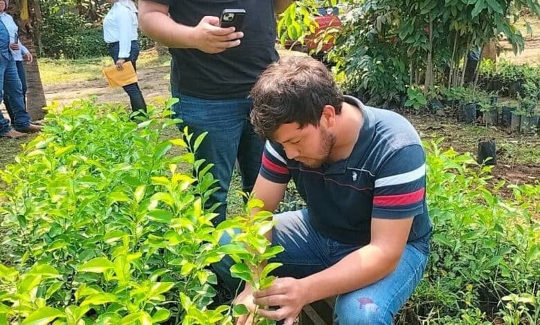 Apuestan por el campo para garantizar alimento en Tabasco