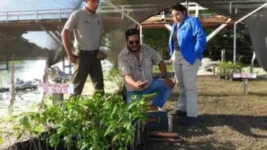 comunidades de tabasco lideran la restauración del río san pedro mártir