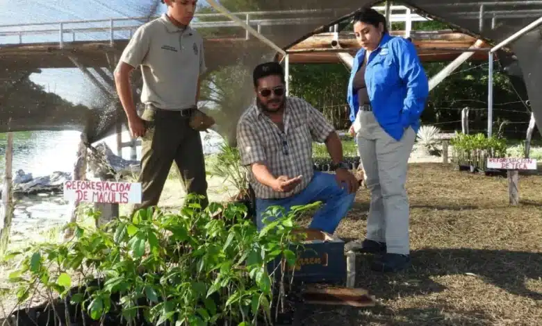 comunidades de tabasco lideran la restauración del río san pedro mártir