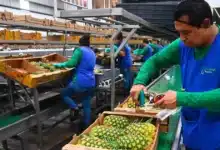 Crece el empleo en Tabasco, cifras positivas en primer trimestre
