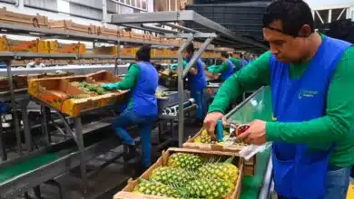 Crece el empleo en Tabasco, cifras positivas en primer trimestre