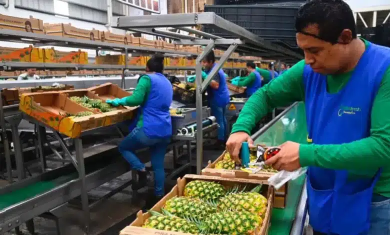 Crece el empleo en Tabasco, cifras positivas en primer trimestre