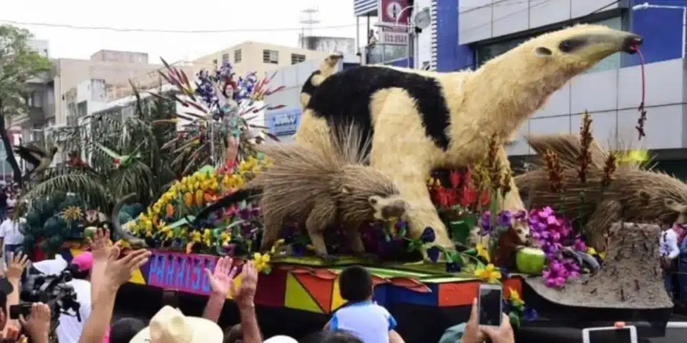 el operativo de seguridad está listo para carros alegóricos