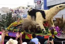 el operativo de seguridad está listo para carros alegóricos