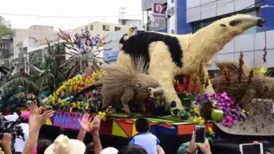 el operativo de seguridad está listo para carros alegóricos