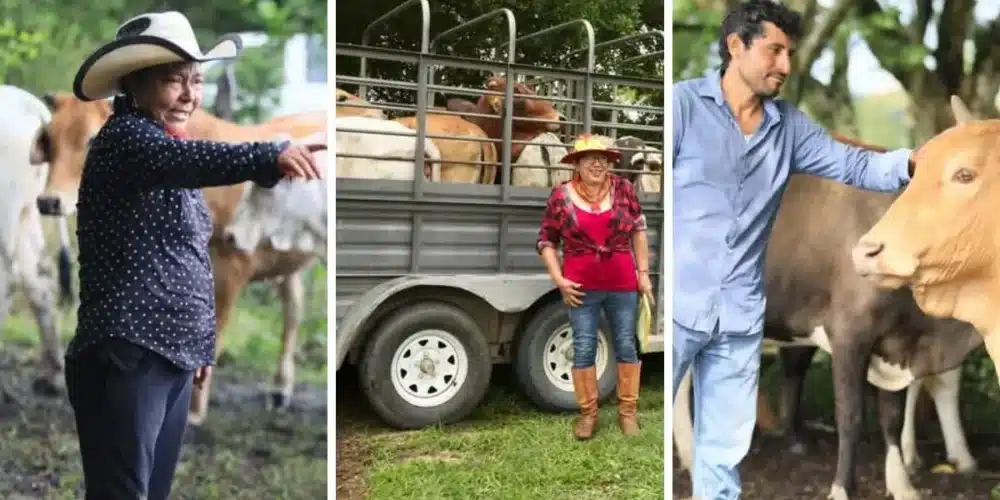 en tabasco buscan revertir la migración y atraer a los jóvenes a sus raíces