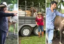 en tabasco buscan revertir la migración y atraer a los jóvenes a sus raíces