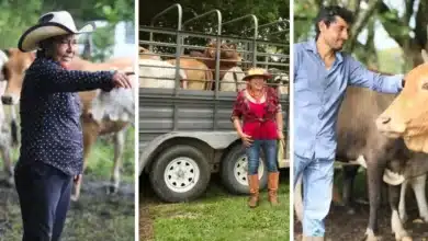 en tabasco buscan revertir la migración y atraer a los jóvenes a sus raíces