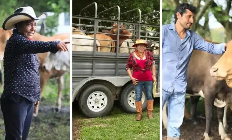 en tabasco buscan revertir la migración y atraer a los jóvenes a sus raíces