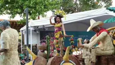 Desfile de Carros Alegóricos 2026 ¿Quién fue el ganador? (Foto de Gobierno de Tabasco)