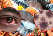 ¿Qué es el virus que está poniendo en riesgo a animales en China? Nodavirus (Fotos de internet)