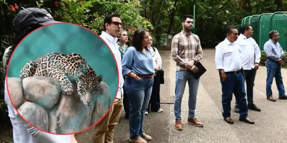Parque del Museo: Autoridades certifican el bienestar animal en La Venta (Fotos de cortesía)