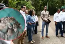 Parque del Museo: Autoridades certifican el bienestar animal en La Venta (Fotos de cortesía)