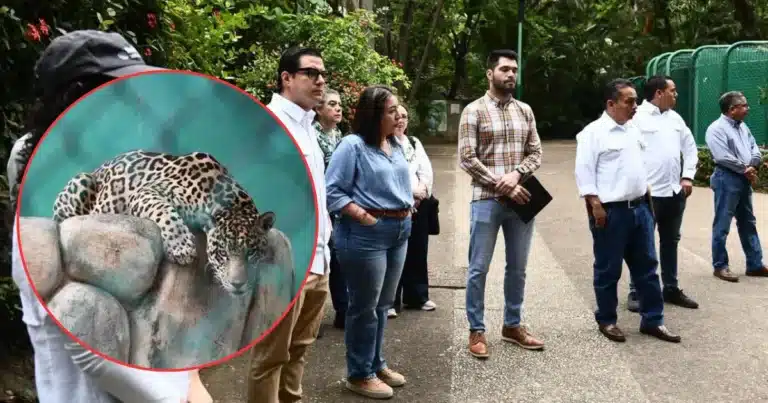 Parque del Museo: Autoridades certifican el bienestar animal en La Venta (Fotos de cortesía)