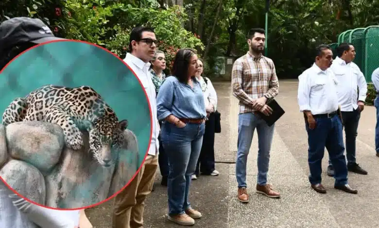 Parque del Museo: Autoridades certifican el bienestar animal en La Venta (Fotos de cortesía)
