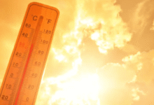 Clima hoy: Onda de calor será más intensa en estos estados de México (Imagen de internet)