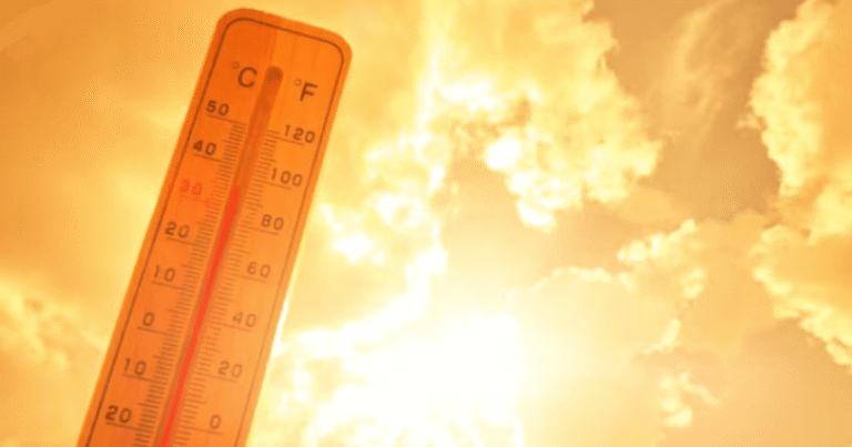 Clima hoy: Onda de calor será más intensa en estos estados de México (Imagen de internet)