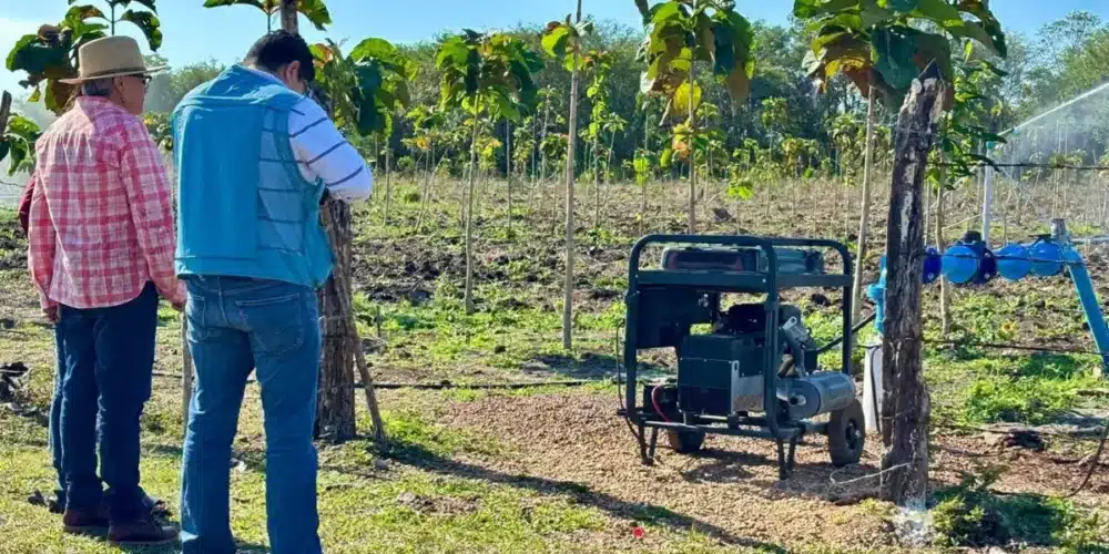 invierten 53.8 mdp para blindar la producción agrícola en tabasco