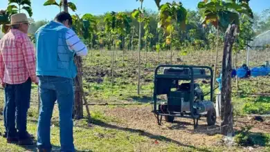 invierten 53.8 mdp para blindar la producción agrícola en tabasco