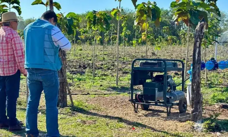 invierten 53.8 mdp para blindar la producción agrícola en tabasco