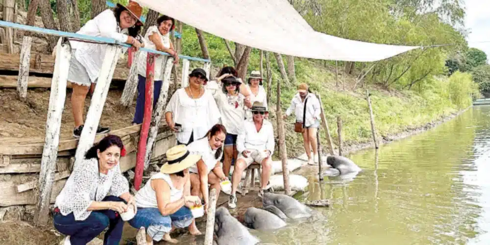 jonuteek protege a los gigantes del río