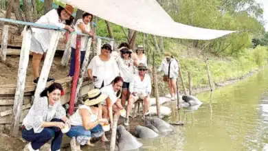 jonuteek protege a los gigantes del río