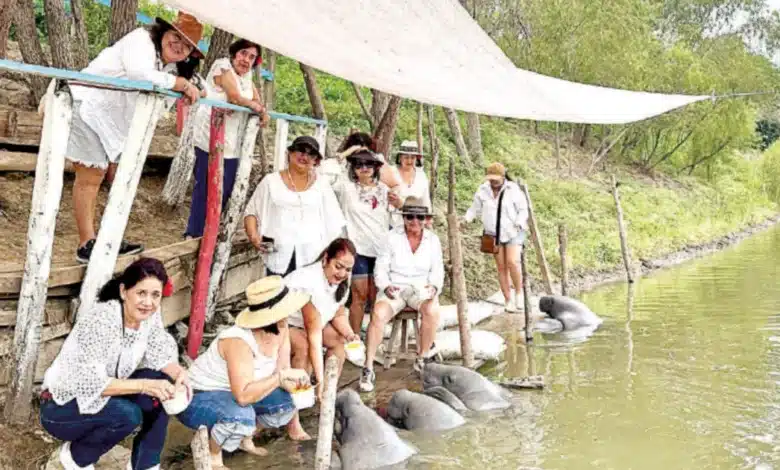 jonuteek protege a los gigantes del río