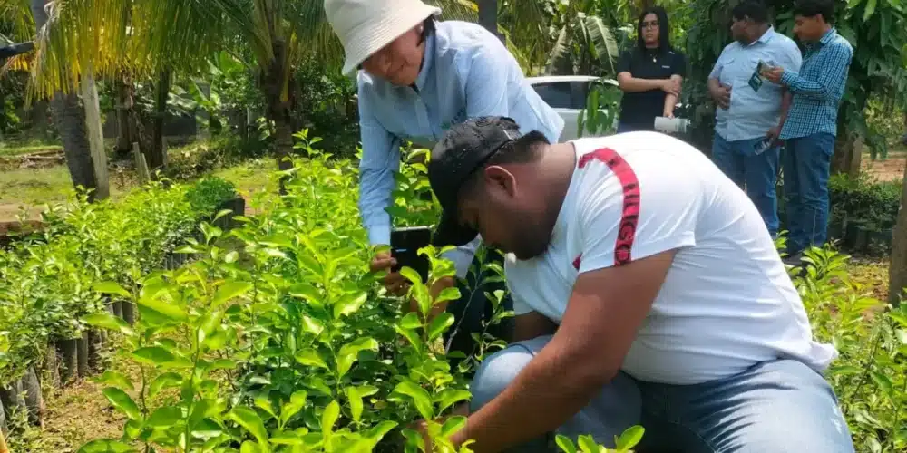 más de 60 productores listos para los desafíos de la feria tabasco 2026