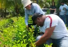 más de 60 productores listos para los desafíos de la feria tabasco 2026
