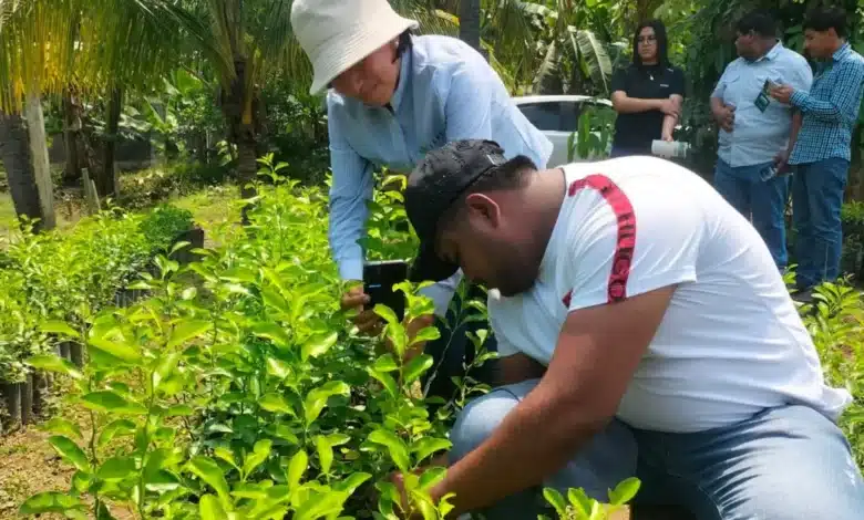 más de 60 productores listos para los desafíos de la feria tabasco 2026