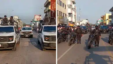 miles de familias abarrotan las calles en el desfile de carros alegóricos